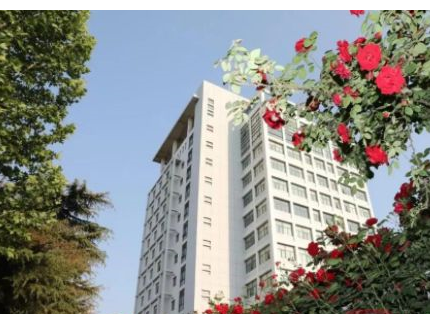 國企改 革三年行動——中鋁鄭州研究院：育新機 開新局 譜新篇 建新功